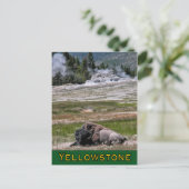 はがき：上段ゲイエザーベースンセンチネル ポストカード (スタンド正面)