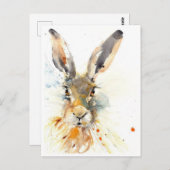 はがき – 今日のハレ明日! (正面/裏面)