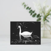 はがき – 動物–23 (スタンド正面)