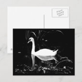 はがき – 動物–23 (正面/裏面)