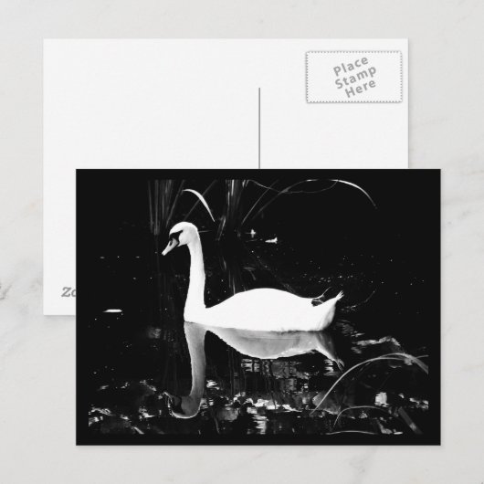 はがき – 動物–23 (正面/裏面)