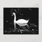 はがき – 動物–23 (正面)