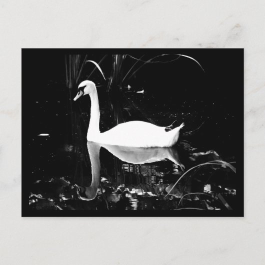 はがき – 動物–23 (正面)