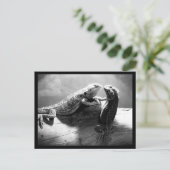 はがき – 動物–33 (スタンド正面)