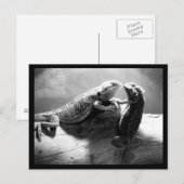 はがき – 動物–33 (正面/裏面)