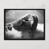 はがき – 動物–33 (正面)