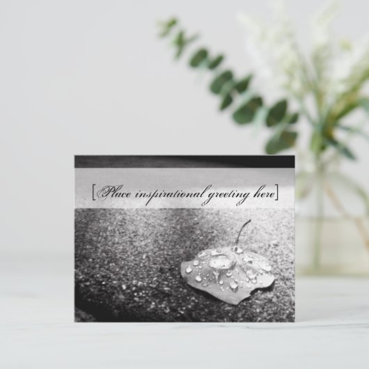 はがき – 容器 (スタンド正面)