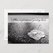 はがき – 容器 (正面/裏面)