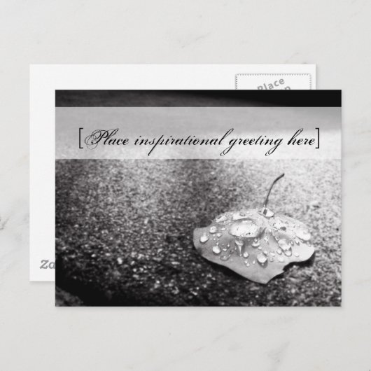 はがき – 容器 (正面/裏面)