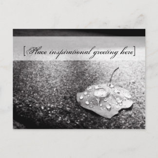 はがき – 容器