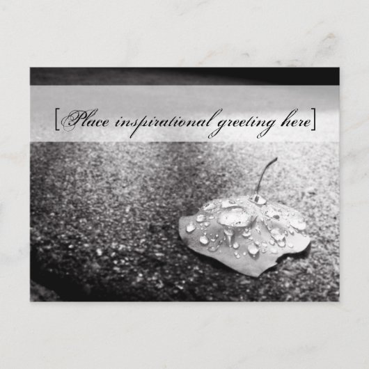 はがき – 容器 (正面)