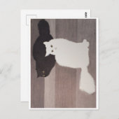 はがき：寧子とファルコール ポストカード (正面/裏面)