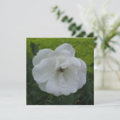 はがき 招待状 (スタンド正面)