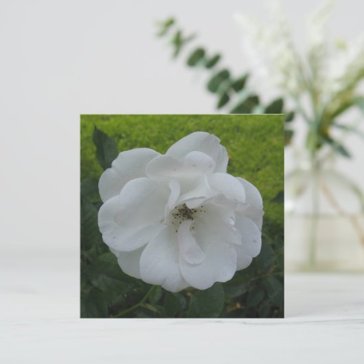 はがき 招待状 (スタンド正面)