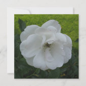 はがき 招待状 (正面)