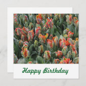 はがき 招待状 (正面/裏面)