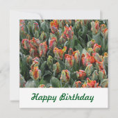 はがき 招待状 (正面)