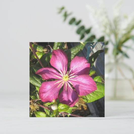 はがき 招待状 (スタンド正面)