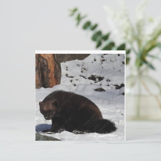 はがき 招待状 (スタンド正面)