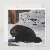 はがき 招待状 (正面)