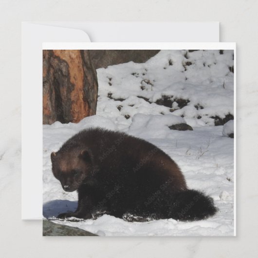 はがき 招待状 (正面)