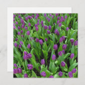 はがき 招待状 (正面/裏面)