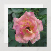 はがき 招待状 (正面/裏面)