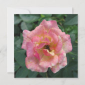 はがき 招待状 (正面)