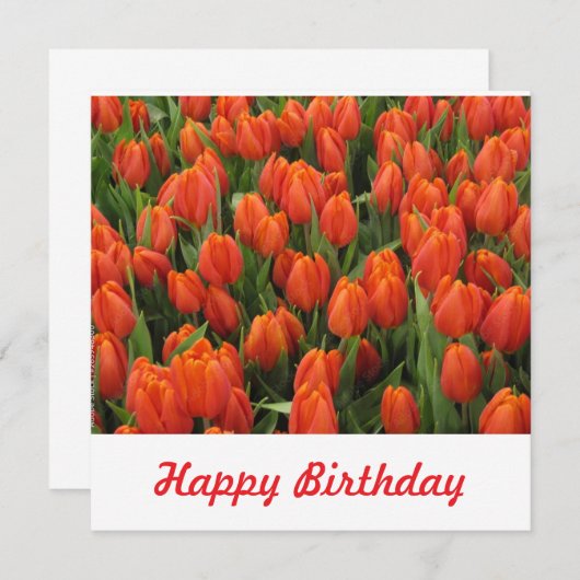 はがき 招待状 (正面/裏面)