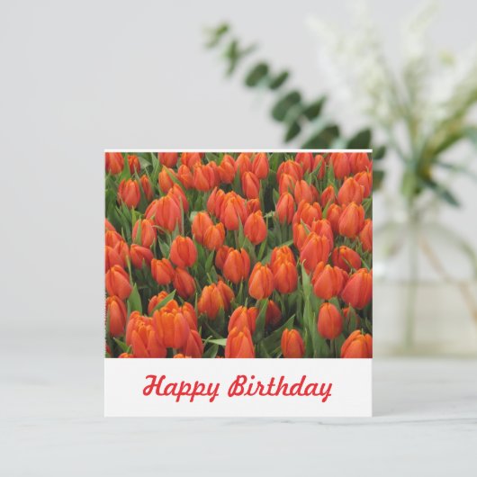 はがき 招待状 (スタンド正面)