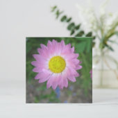 はがき 招待状 (スタンド正面)