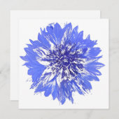 はがき 招待状 (正面/裏面)