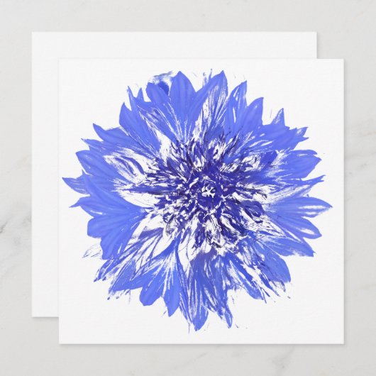 はがき 招待状 (正面/裏面)