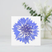 はがき 招待状 (スタンド正面)