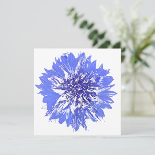 はがき 招待状 (スタンド正面)