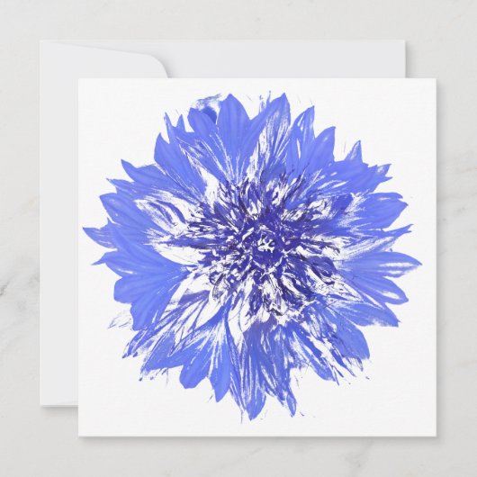 はがき 招待状 (正面)