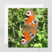 はがき 招待状 (正面/裏面)