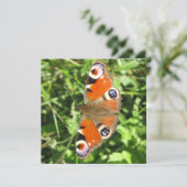 はがき 招待状 (スタンド正面)