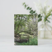 はがき – 旧フロリダ (スタンド正面)