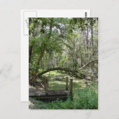 はがき – 旧フロリダ (正面/裏面)