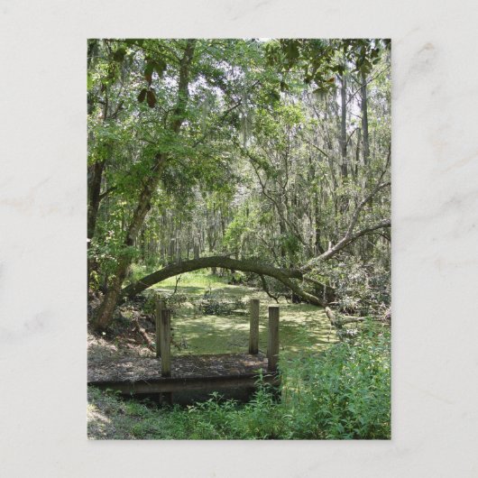 はがき – 旧フロリダ (正面)