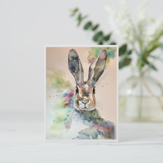 はがき – 春の色の爆発 (スタンド正面)