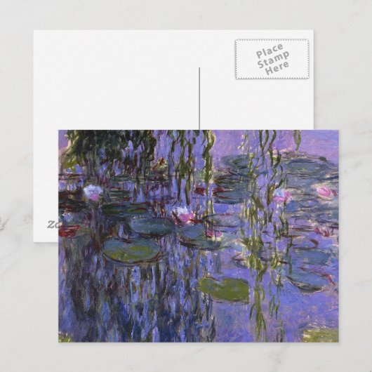 はがき – 水ユリ (正面/裏面)