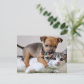 はがき – 洗い時間！ (スタンド正面)