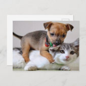 はがき – 洗い時間！ (正面/裏面)