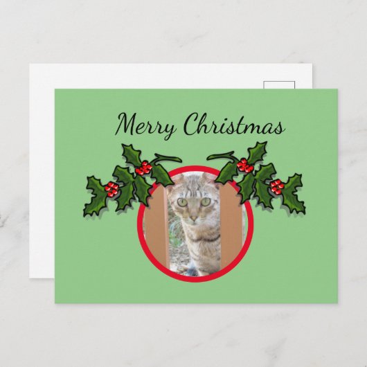 はがき – 猫とクリスマスの挨拶 (正面/裏面)