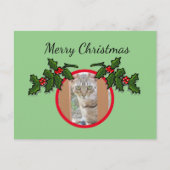 はがき – 猫とクリスマスの挨拶 (正面)