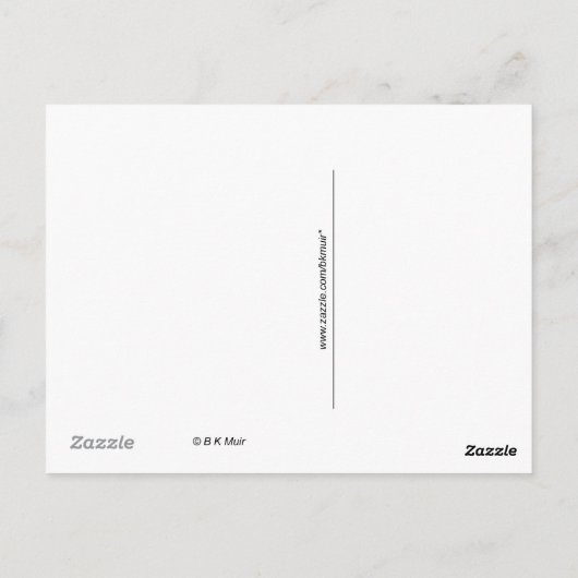 はがき – 白アルパカ (裏面)