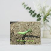 はがき – 祈's Mantis (スタンド正面)