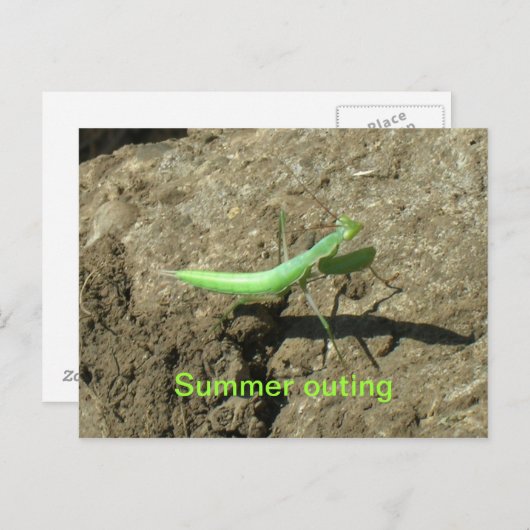 はがき – 祈's Mantis (正面/裏面)